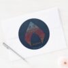 Aquaman Paisley Aquaman Logo Classic Round Sticker