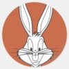 BUGS_BUNNY™_Face_Smiling_Classic_Round_Sticker_1 BUGS BUNNY™ Face Smiling Classic Round Sticker