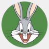 BUGS_BUNNY™_Smiling_Face_Classic_Round_Sticker_1 BUGS BUNNY™ Smiling Face Classic Round Sticker