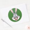 BUGS_BUNNY™_Smiling_Face_Classic_Round_Sticker_3 BUGS BUNNY™ Smiling Face Classic Round Sticker