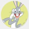 BUGS_BUNNY™_Whispering_2_Classic_Round_Sticker_1 BUGS BUNNY™ Whispering 2 Classic Round Sticker