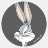 BUGS_BUNNY™___Hands_on_Hips_Classic_Round_Sticker_1 BUGS BUNNY™ Hands On Hips Classic Round Sticker