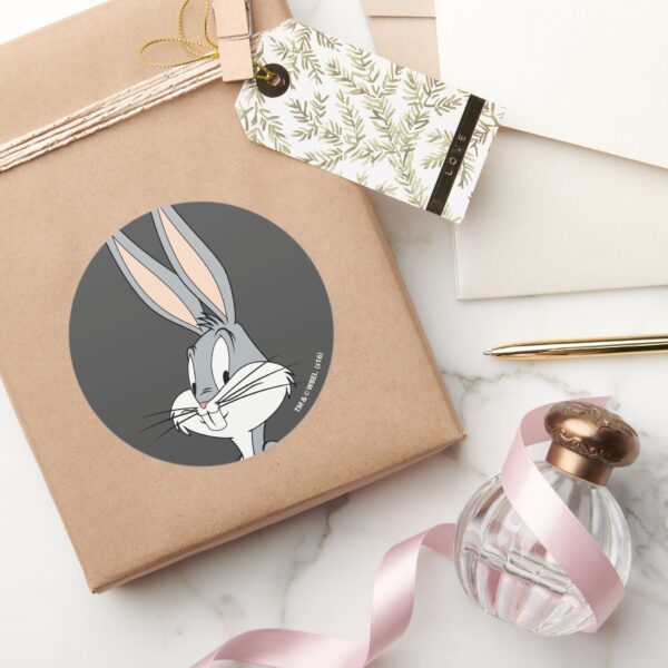BUGS_BUNNY™___Hands_on_Hips_Classic_Round_Sticker_5 BUGS BUNNY™ Hands On Hips Classic Round Sticker