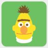 Bert Face Square Sticker