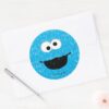 Cookie_Monster_Fur_Face_Pattern_Classic_Round_Sticker_3 Cookie Monster Fur Face Pattern Classic Round Sticker