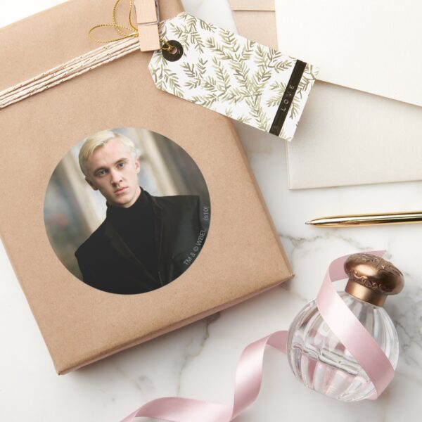 Draco_Malfoy_Straight_On_Classic_Round_Sticker_5 Draco Malfoy Straight On Classic Round Sticker
