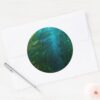 Finding_Dory___Hide_and_Seek_-_Sea_Kelp_Classic_Round_Sticker_3 Finding Dory Hide And Seek Sea Kelp Classic Round Sticker