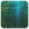 Finding_Dory___Hide_and_Seek_-_Sea_Kelp_Square_Sticker_1 Finding Dory Hide And Seek Sea Kelp Square Sticker