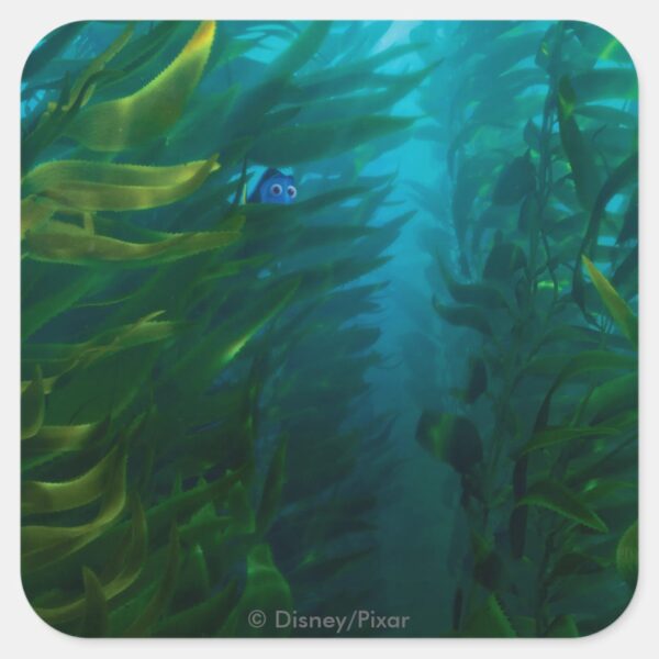 Finding_Dory___Hide_and_Seek_-_Sea_Kelp_Square_Sticker_1 Finding Dory Hide And Seek Sea Kelp Square Sticker