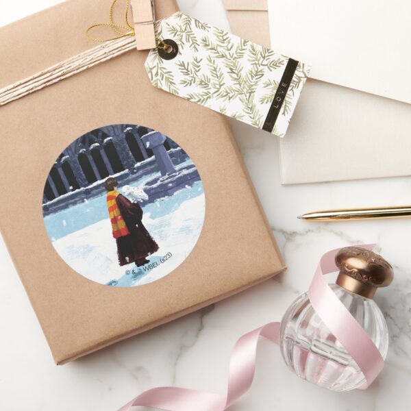 HARRY_POTTER™_&_Hedwig_in_HOGWARTS™_Courtyard_Classic_Round_Sticker_5 HARRY POTTER™ Hedwig In HOGWARTS™ Courtyard Classic Round Sticker