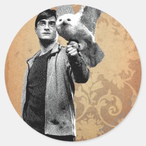 Harry Potter 12 Classic Round Sticker