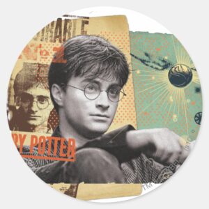 Harry Potter 13 Classic Round Sticker