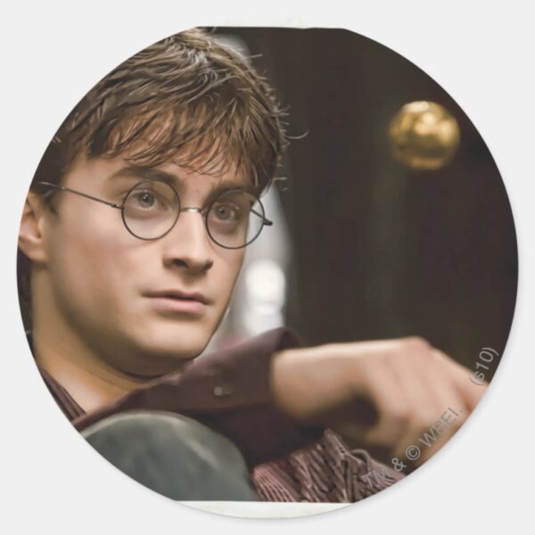Harry_Potter_17_Classic_Round_Sticker_1 Harry Potter 17 Classic Round Sticker