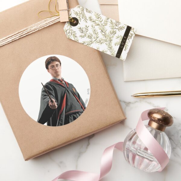 Harry_Potter_At_The_Ready_Classic_Round_Sticker_5 Harry Potter At The Ready Classic Round Sticker