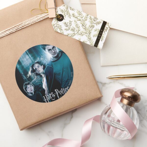 Harry_Potter_Ron_Hermione_In_Forest_Classic_Round_Sticker_5 Harry Potter Ron Hermione In Forest Classic Round Sticker