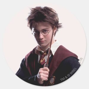 Harry_Potter_Wand_Raised_Classic_Round_Sticker_1 Harry Potter Wand Raised Classic Round Sticker