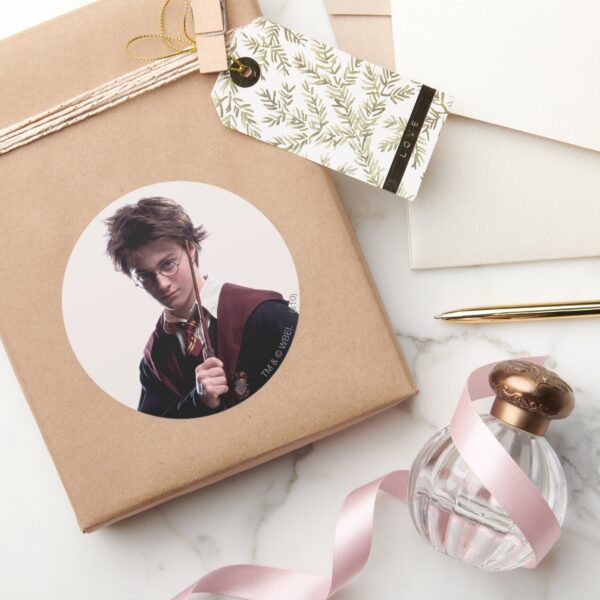 Harry_Potter_Wand_Raised_Classic_Round_Sticker_5 Harry Potter Wand Raised Classic Round Sticker