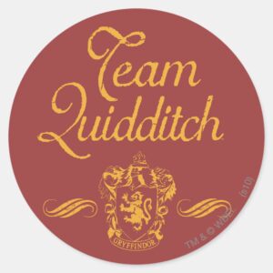Harry_Potter___Team_QUIDDITCH™_Classic_Round_Sticker_1 Harry Potter Team QUIDDITCH™ Classic Round Sticker