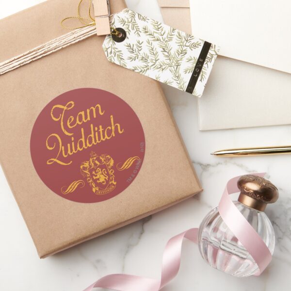 Harry_Potter___Team_QUIDDITCH™_Classic_Round_Sticker_5 Harry Potter Team QUIDDITCH™ Classic Round Sticker