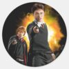 Harry_Potter_and_Ron_Weasely_Classic_Round_Sticker_1 Harry Potter And Ron Weasely Classic Round Sticker