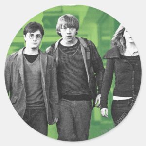 Harry,_Ron,_and_Hermione_1_Classic_Round_Sticker_1 Harry Ron And Hermione 1 Classic Round Sticker