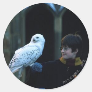Harry_and_Hedwig_2_Classic_Round_Sticker_1 Harry And Hedwig 2 Classic Round Sticker