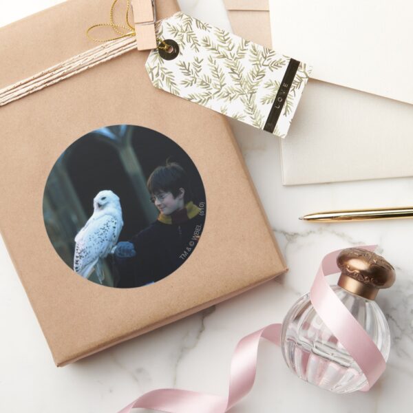 Harry_and_Hedwig_2_Classic_Round_Sticker_5 Harry And Hedwig 2 Classic Round Sticker