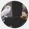 Harry_and_Hedwig_3_Classic_Round_Sticker_1 Harry And Hedwig 3 Classic Round Sticker