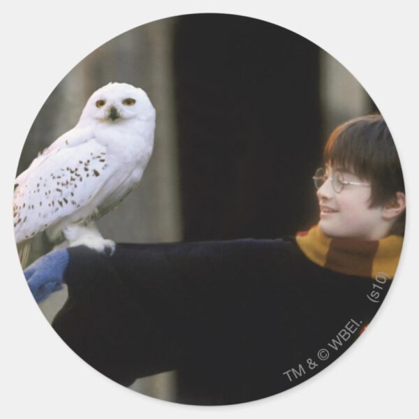 Harry_and_Hedwig_3_Classic_Round_Sticker_1 Harry And Hedwig 3 Classic Round Sticker