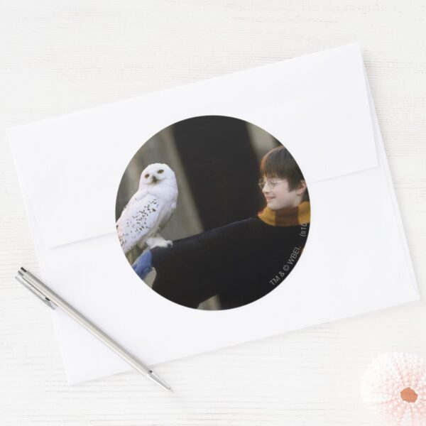 Harry_and_Hedwig_3_Classic_Round_Sticker_3 Harry And Hedwig 3 Classic Round Sticker