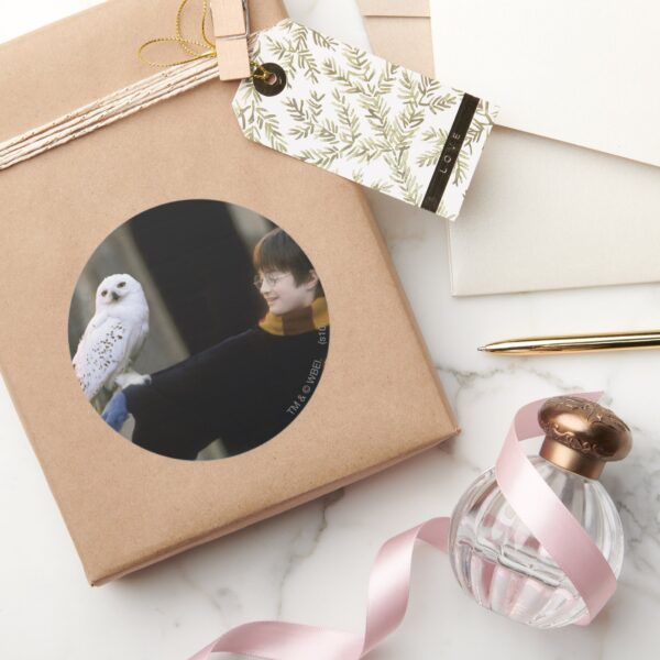 Harry_and_Hedwig_3_Classic_Round_Sticker_5 Harry And Hedwig 3 Classic Round Sticker