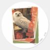Hedwig_1_classic_round_sticker_1 Hedwig 1 Classic Round Sticker