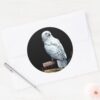 Hedwig_on_books_classic_round_sticker_3 Hedwig On Books Classic Round Sticker