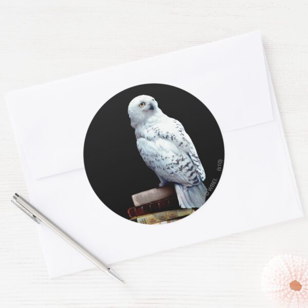 Hedwig_on_books_classic_round_sticker_3 Hedwig On Books Classic Round Sticker