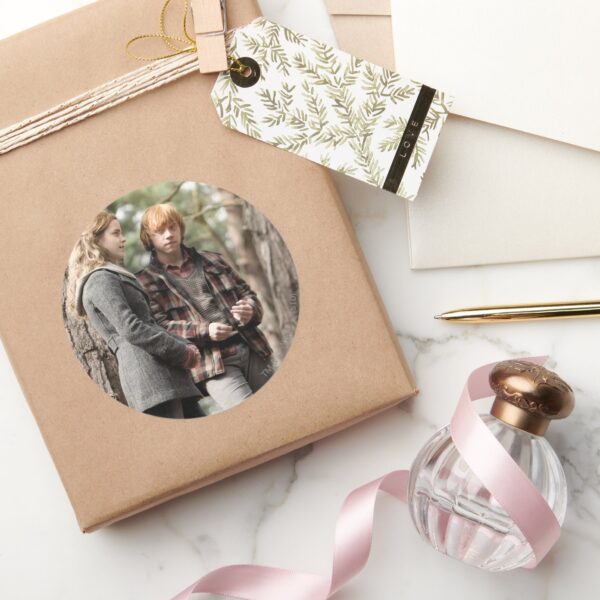 Hermione,_Ron,_and_Harry_2_Classic_Round_Sticker_5 Hermione Ron And Harry 2 Classic Round Sticker