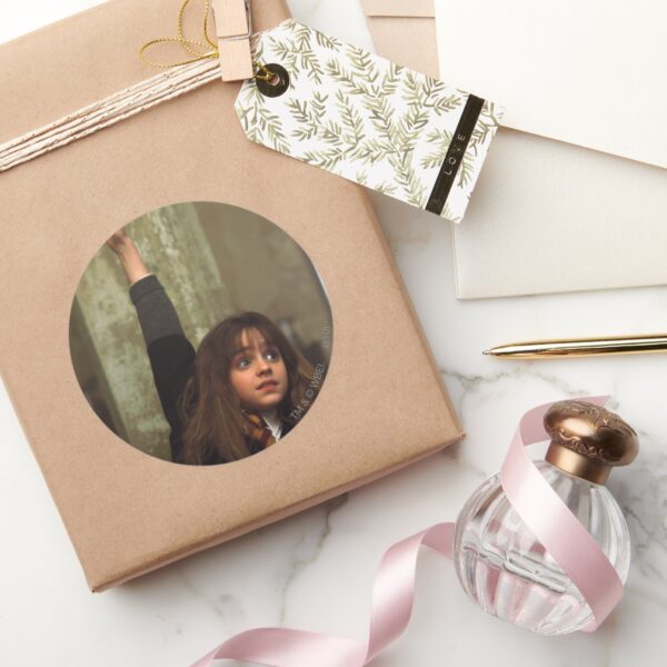 Hermione_raises_her_hand_classic_round_sticker_5 Hermione Raises Her Hand Classic Round Sticker