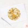 Lion King Simba On Triangle Pattern Classic Round Sticker