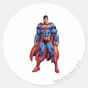 Looking Straight On Classic Round Sticker