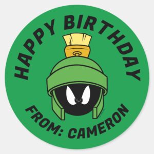 MARVIN THE MARTIAN™ Mad Happy Birthday Classic Round Sticker