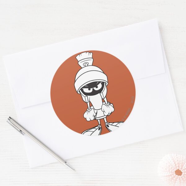 MARVIN_THE_MARTIAN™_Mad_at_You_Classic_Round_Sticker_3 MARVIN THE MARTIAN™ Mad At You Classic Round Sticker