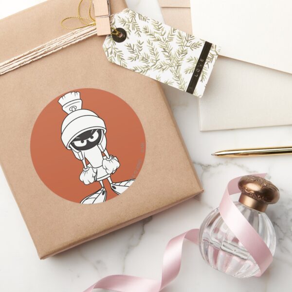 MARVIN_THE_MARTIAN™_Mad_at_You_Classic_Round_Sticker_5 MARVIN THE MARTIAN™ Mad At You Classic Round Sticker