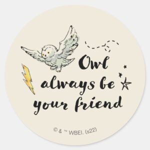 Owl Always Be Your Friend Classic Round Sticker