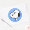 Peanuts___Snoopy_Looks_Classic_Round_Sticker_3 Peanuts Snoopy Looks Classic Round Sticker