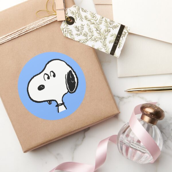 Peanuts___Snoopy_Looks_Classic_Round_Sticker_5 Peanuts Snoopy Looks Classic Round Sticker