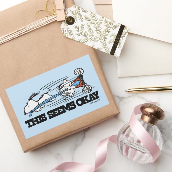 Peanuts___Snoopy_&_Linus_Rectangular_Sticker_5 Peanuts Snoopy Linus Rectangular Sticker