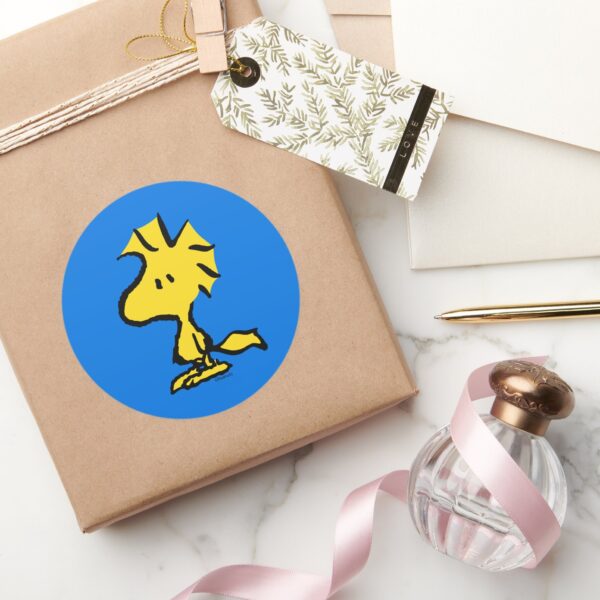 Peanuts___Snoopy's_Friend_Woodstock_Classic_Round_Sticker_5 Peanuts Snoopys Friend Woodstock Classic Round Sticker