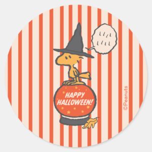 Peanuts Vintage Woodstock Witch Stripes Classic Round Sticker