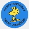 Peanuts___Woodstock___Happy_Birthday_Classic_Round_Sticker_1 Peanuts Woodstock Happy Birthday Classic Round Sticker