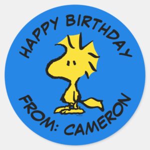 Peanuts Woodstock Happy Birthday Classic Round Sticker