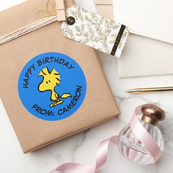 Peanuts___Woodstock___Happy_Birthday_Classic_Round_Sticker_5 Peanuts Woodstock Happy Birthday Classic Round Sticker